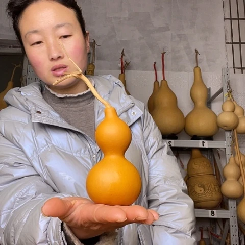 涛*天然植物家里文玩