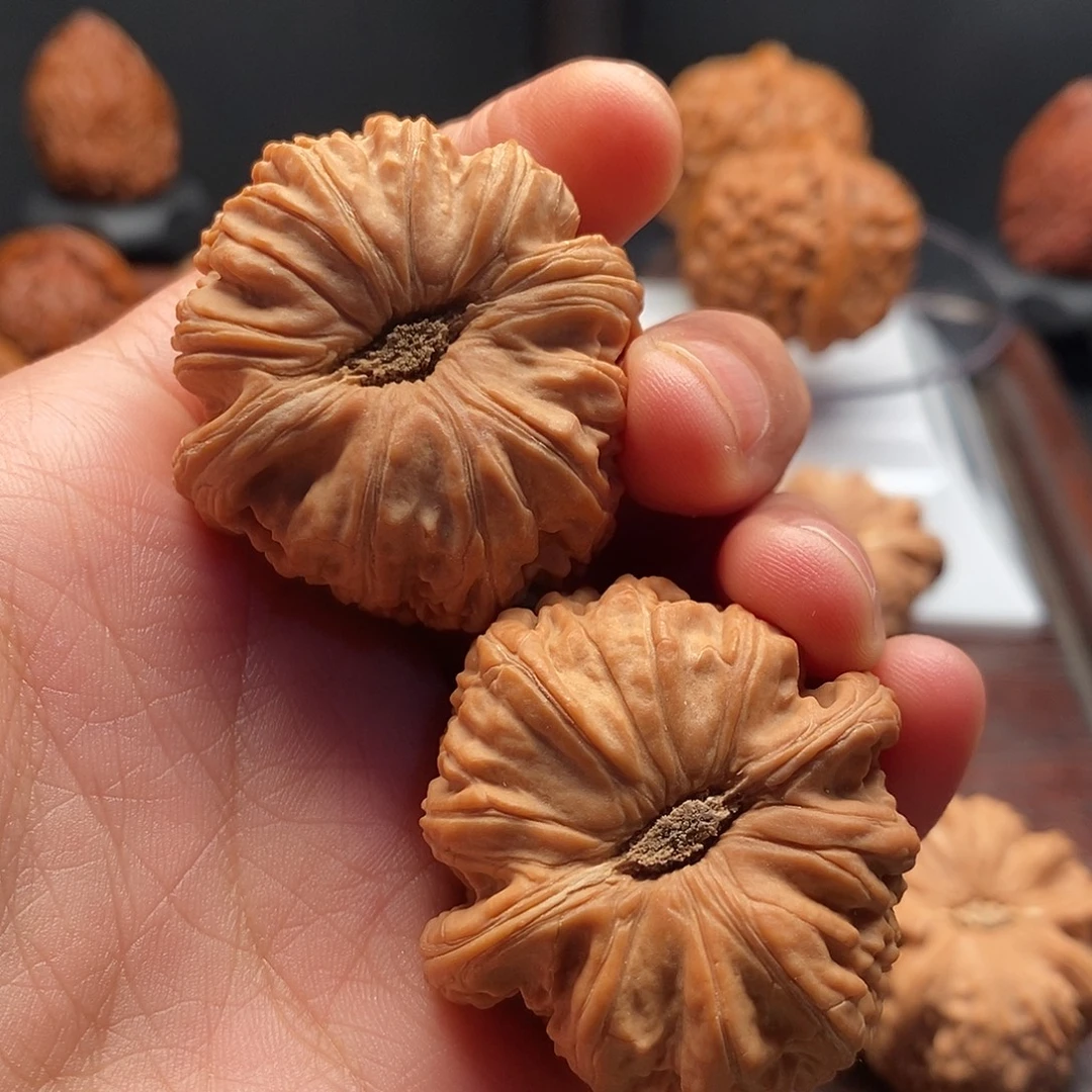 把件文玩核桃全品卡斯兰白狮子