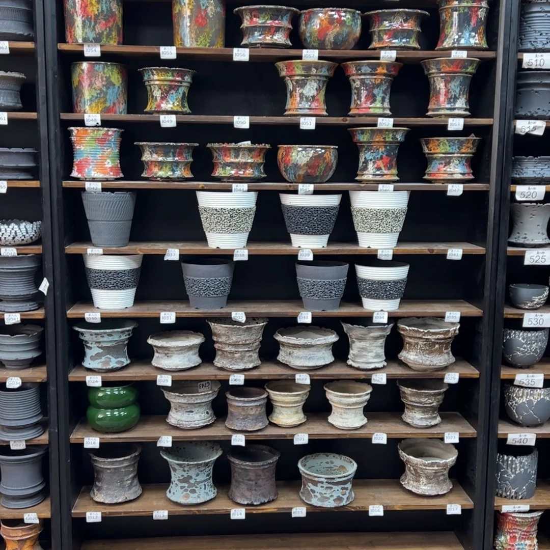 有喜欢的把编号打在公屏