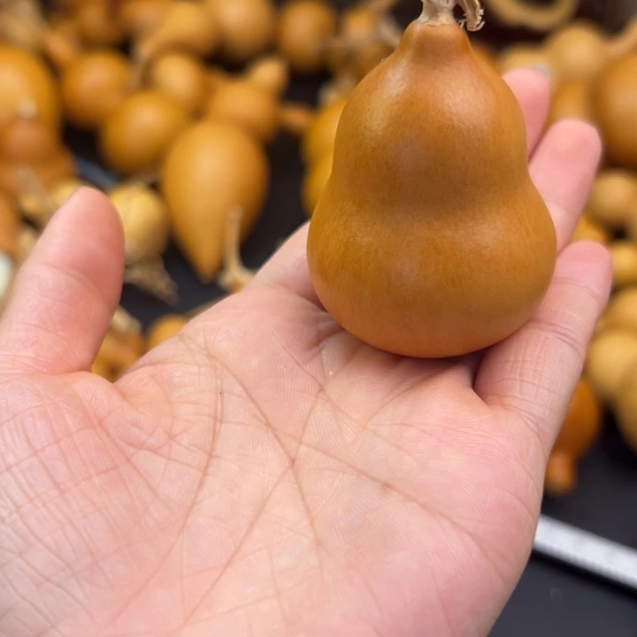 @****?葫芦葫芦葫芦葫芦葫芦