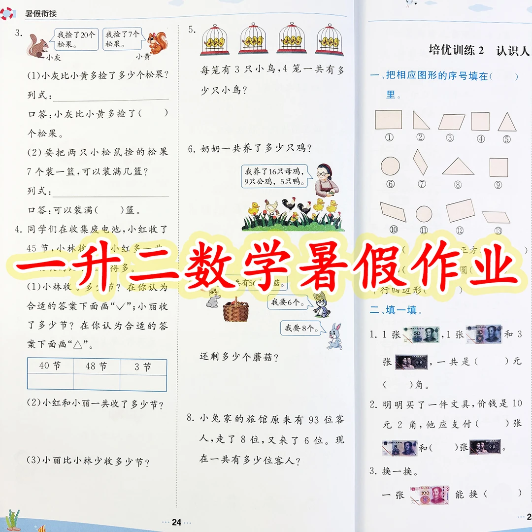 暑假作业一升二年级数学暑假衔接练习题人教版暑假预复习一本通