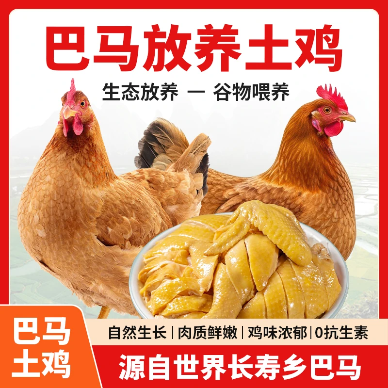 广西巴马纯放养土鸡 毛重4-5斤顺丰冷链空运送货上门