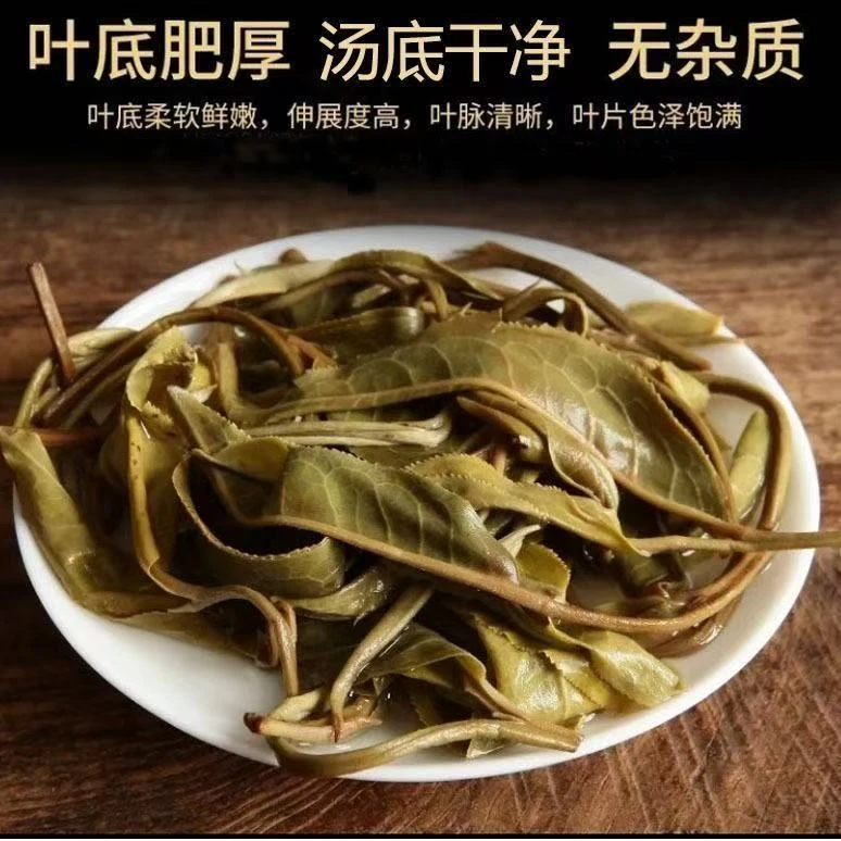 清凉感爆棚！每人限购40单！2025年头春◆薄荷塘纯料　普洱茶散茶