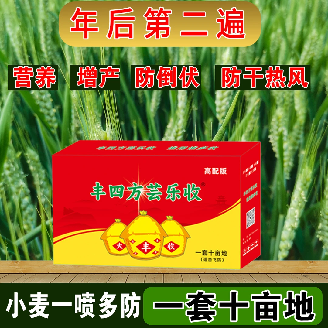小麦年后第二遍增产增收水溶肥叶面肥十亩地