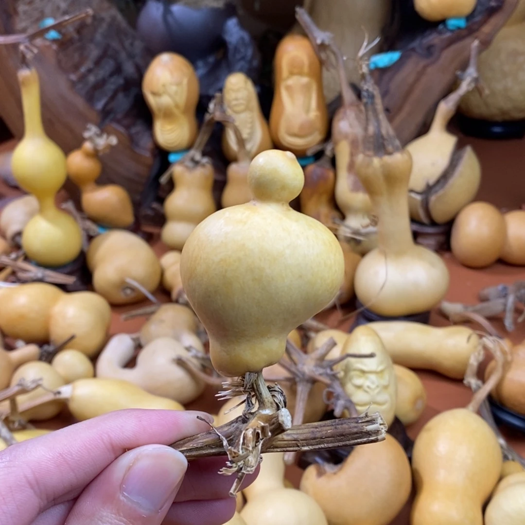 木***生啦啦教练咯教练教练