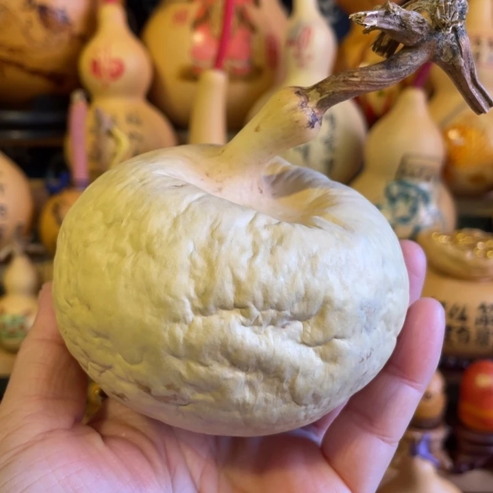 特价福利不退不换