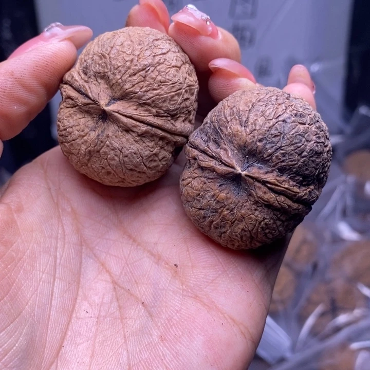 文玩核桃把件云南野生铁核桃163号39mm