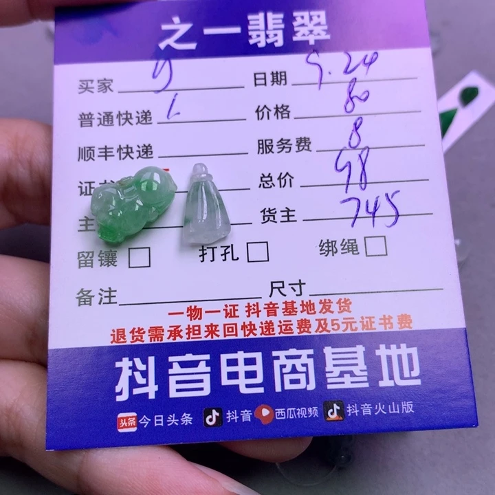 颈饰未镶嵌翡翠y*环