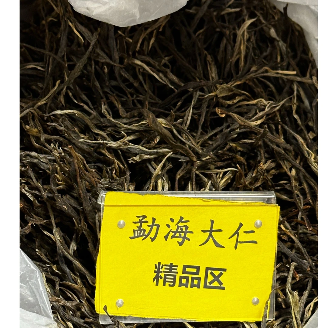 DR9-11【精品区A27】“普洱茶”2025年（森林秘境）单株古树春生散茶
