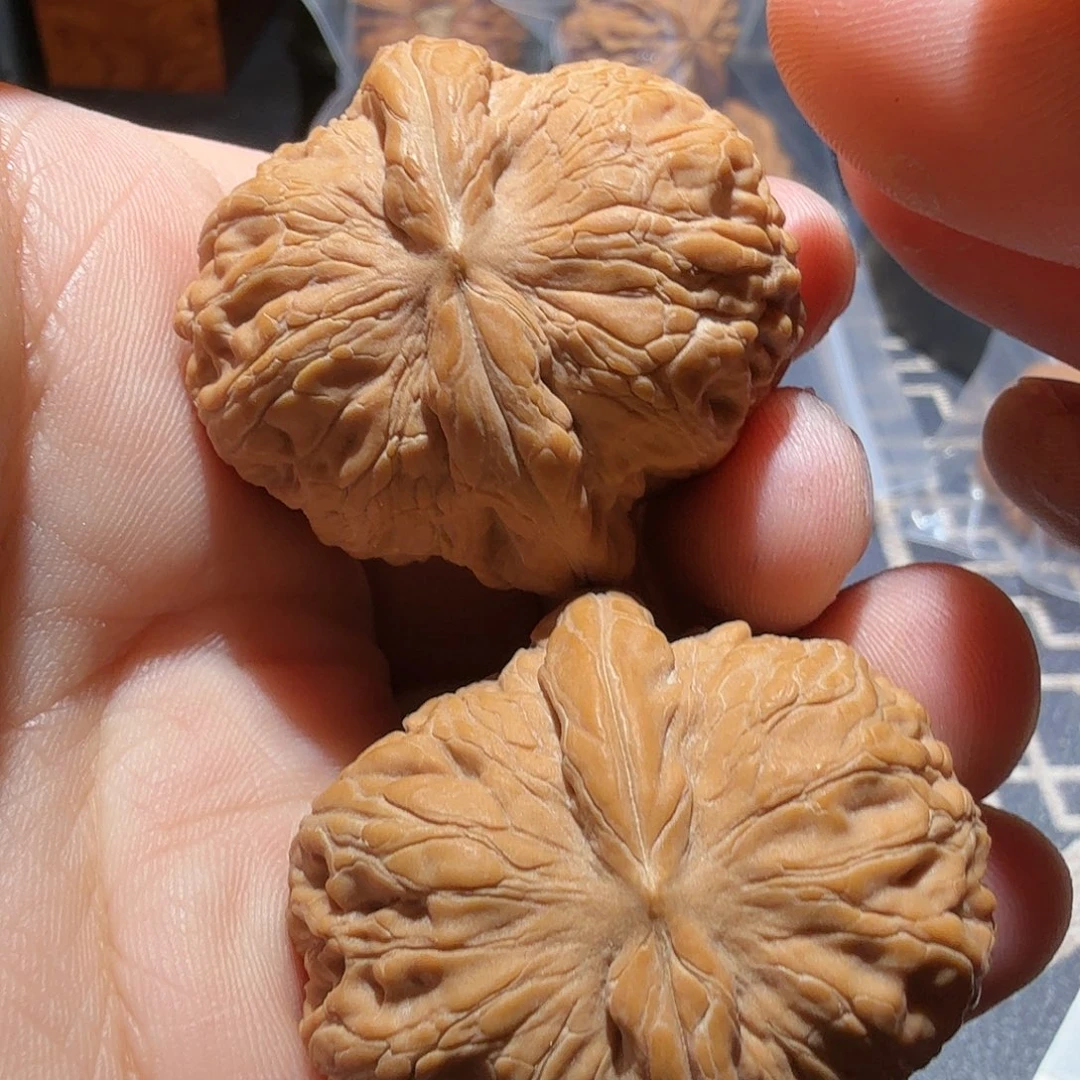 文玩核桃把件元宝