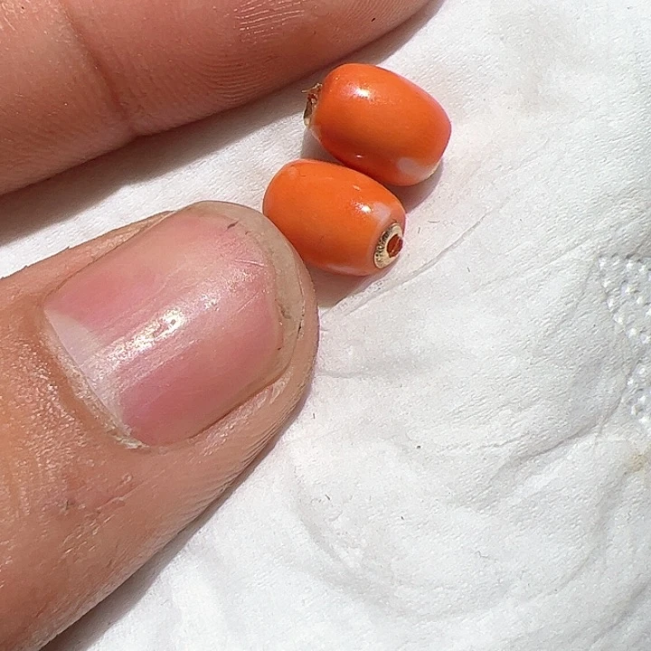 香榧木在家了一个小时