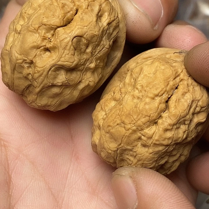 把件文玩核桃云南铁核桃20