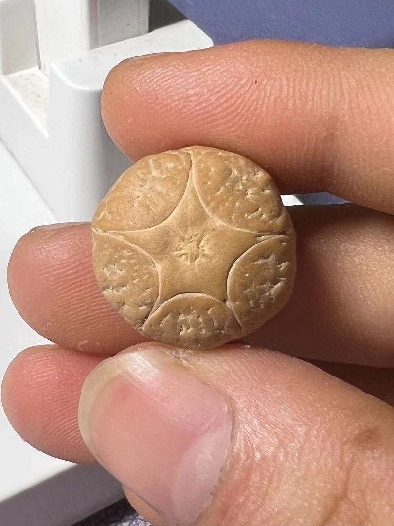 尼泊尔树王五星上将五星三通尺寸19x14