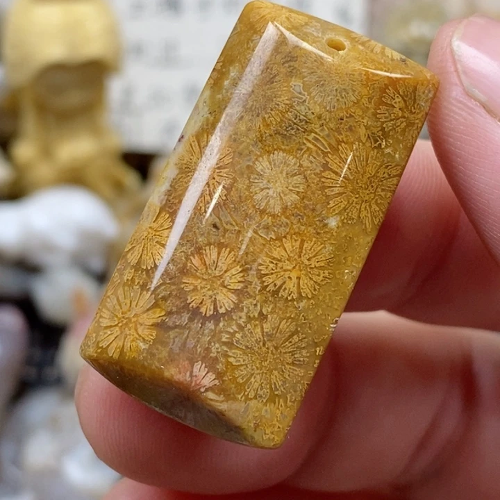 颈饰未镶嵌硅化珊瑚（珊瑚玉）