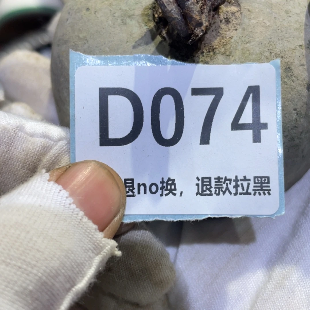 比***木瓷片火爆热卖热卖热卖