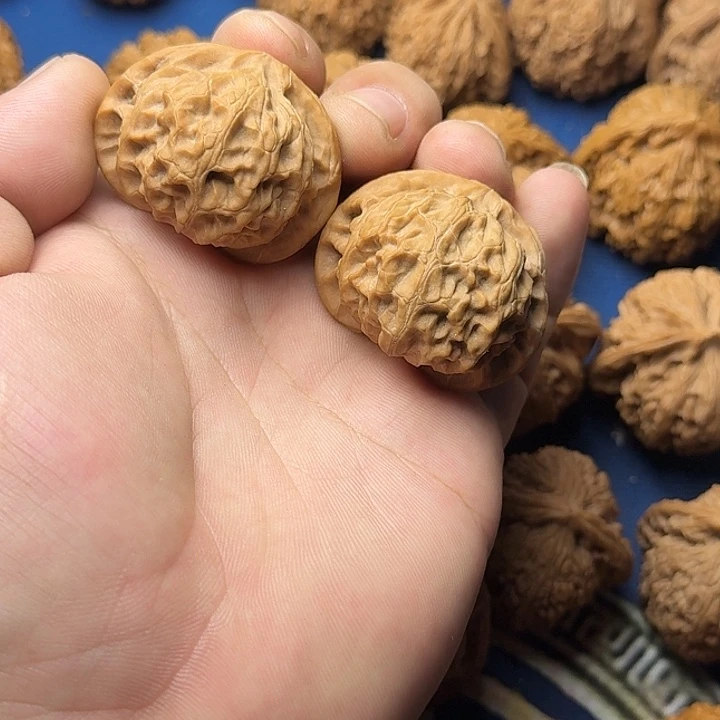 41全品无修精品宫灯