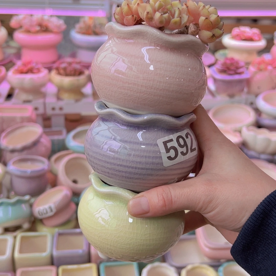 陶瓷花盆当场凑满12包邮