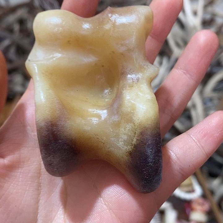 石英石非金属鹿骨鹿骨