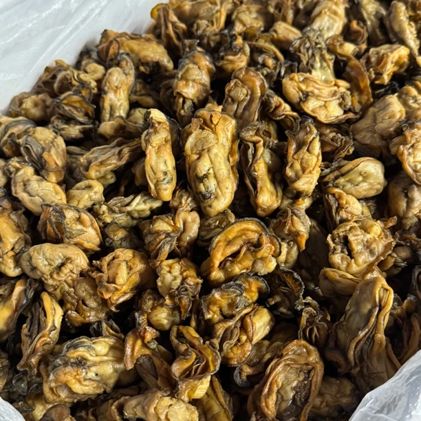 金蚝豉干生晒蚝干蚝豉