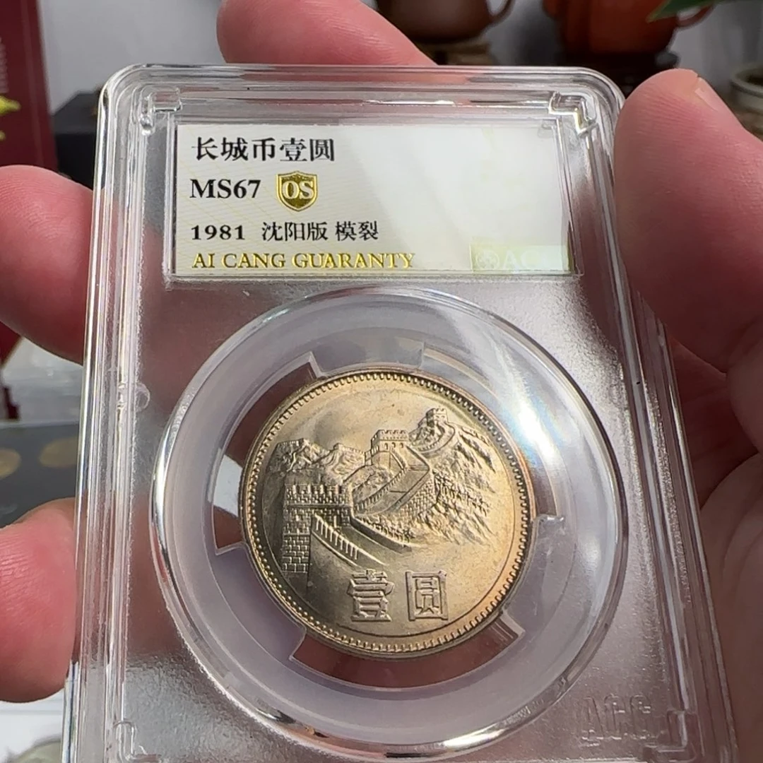 81年一元评级67分，模裂