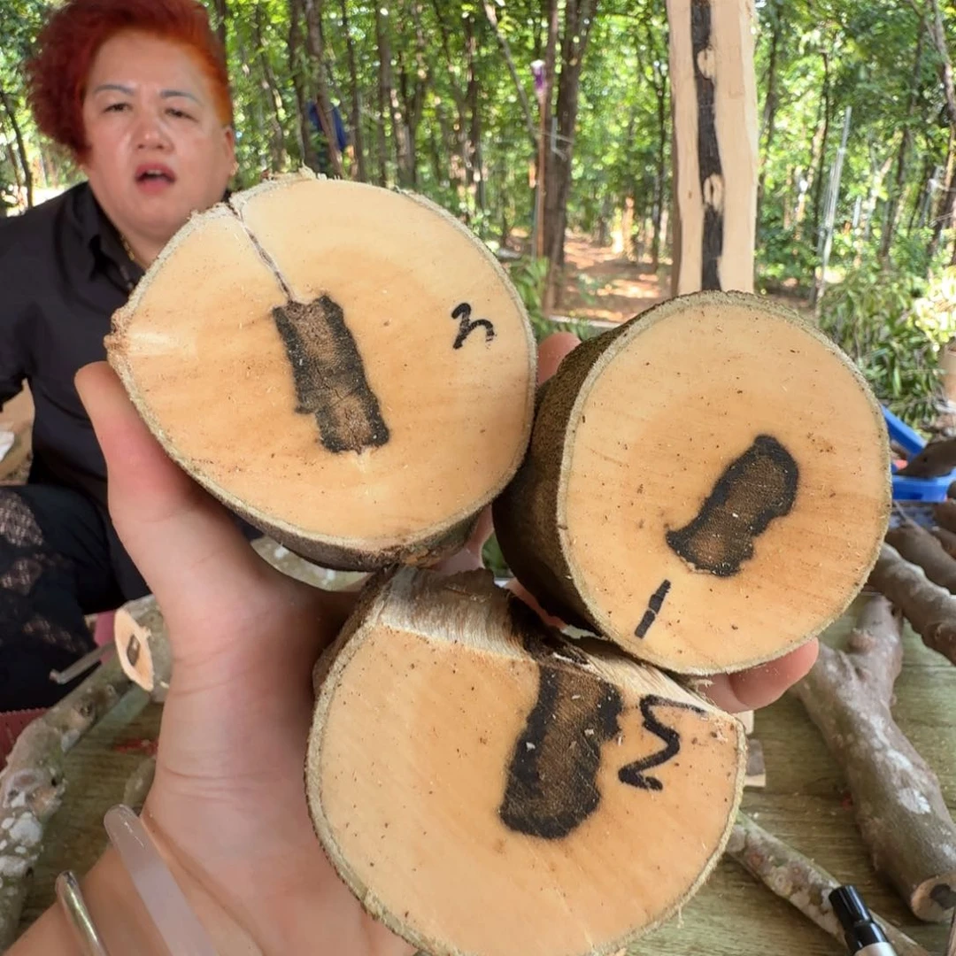 线香奇楠沉香原木