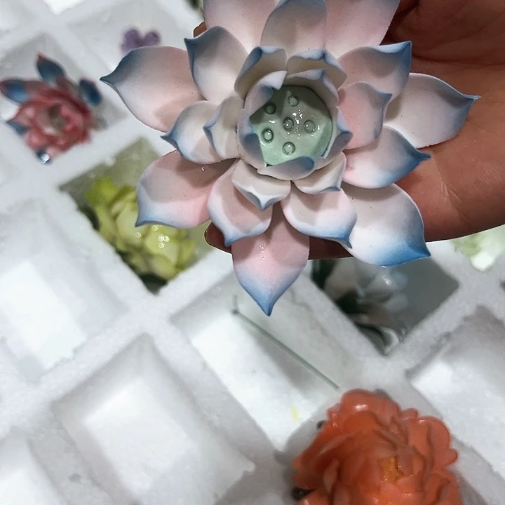 微瑕价，不退不换，介意勿拍