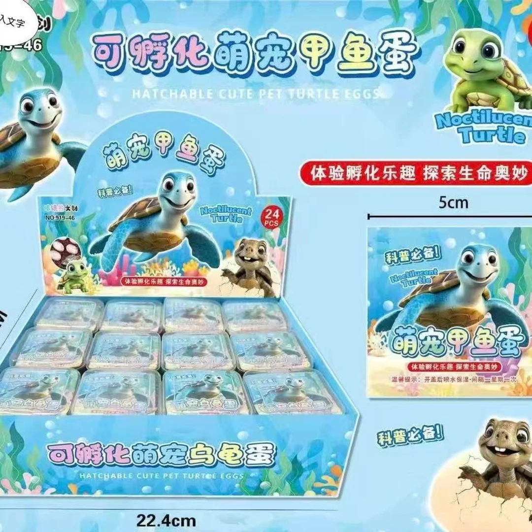 1-1可孵化甲鱼蛋宠物益智玩具中小学周边地摊热卖