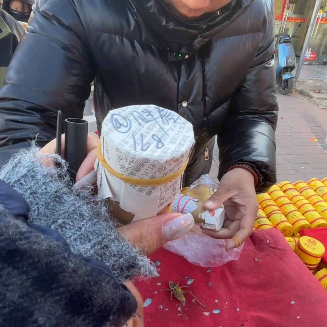 @***虎蝈蝈蝈蝈福福价格