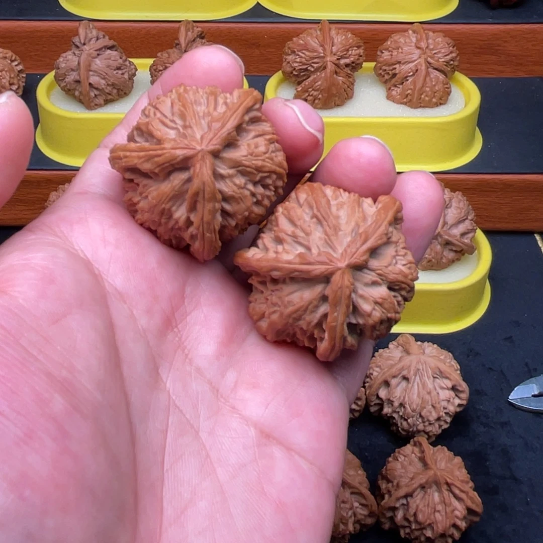 套***。核桃手串/手链白狮子三棱42