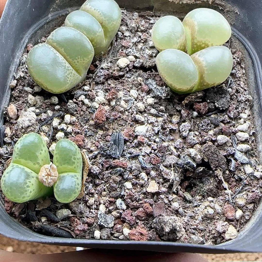 向***看哈哈哈哈哈哈哈哈46602