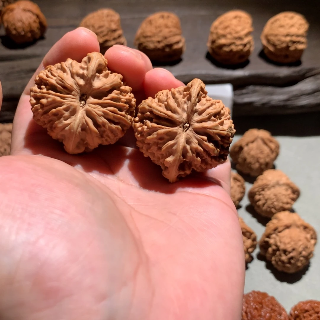 S***e40尺全品汉高山满天星