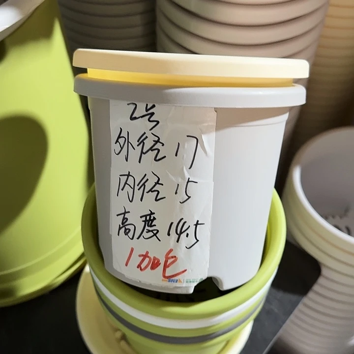 微瑕2#灰白12个带托