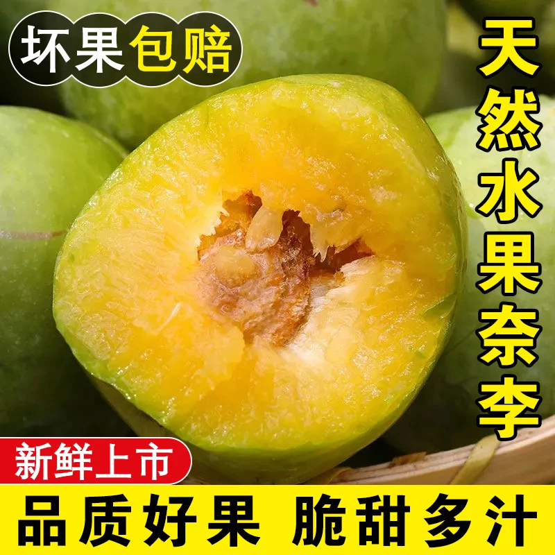 广西青奈李脆甜脱骨李形李子现摘现发油奈李新鲜水果当季孕妇水果