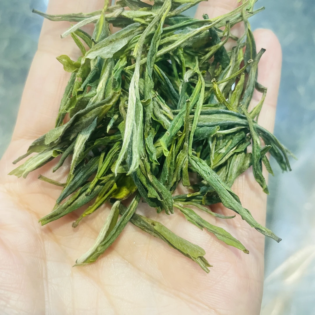 【金寨黄芽A15】大别山高山绿茶2024新茶浓香型毛峰茶叶