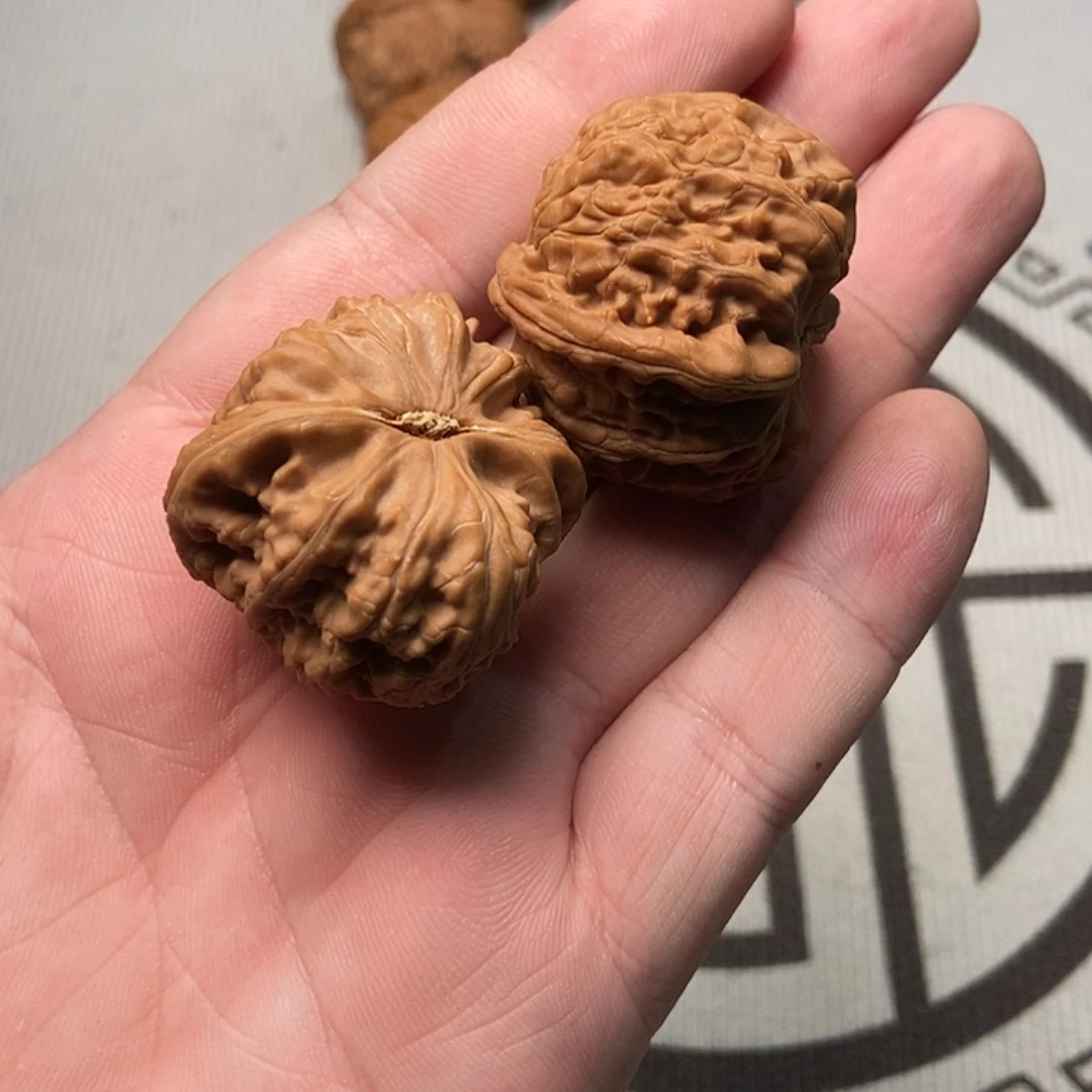 核桃为主体品种主要为大豆