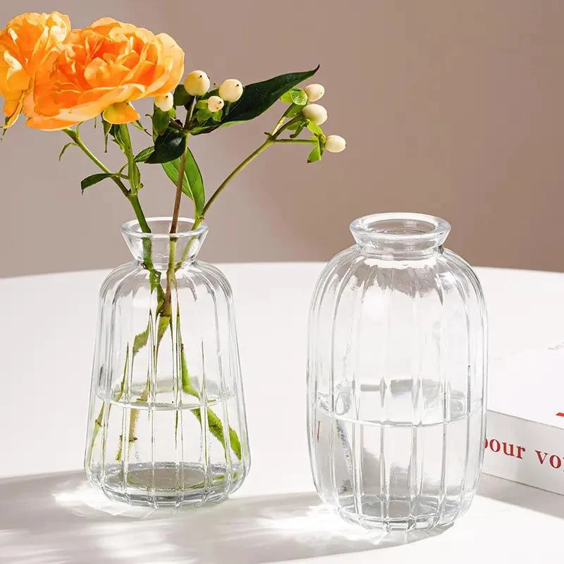 2只装-加厚小众透明色玻璃花瓶水培器皿可插玫瑰百合客厅摆件