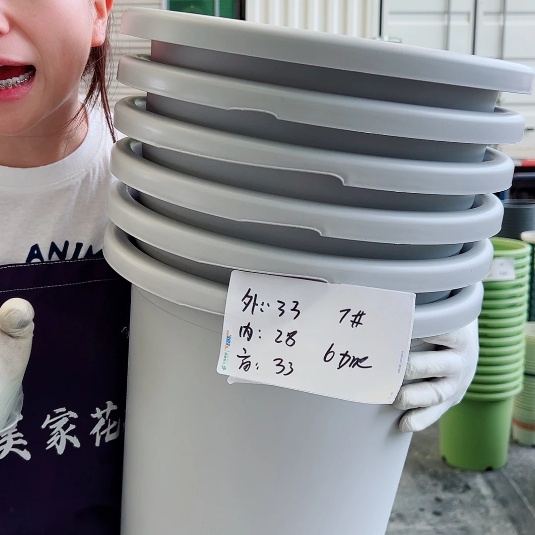 瑕疵四季盆7#灰白6个无托