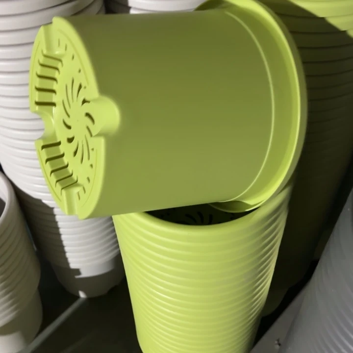 四季5号5个果绿色的花盆