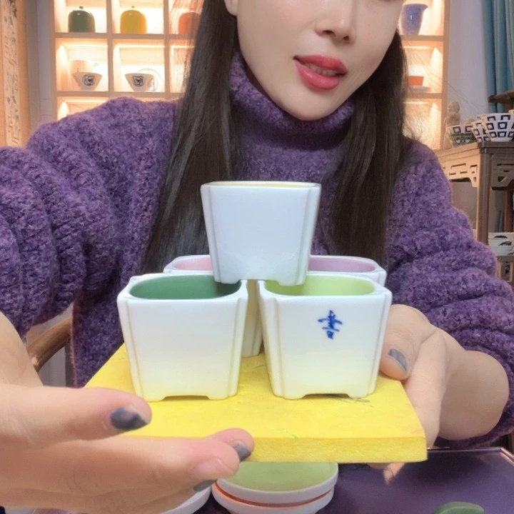 啊啊啊啊啊啊啊啊啊啊茶宠