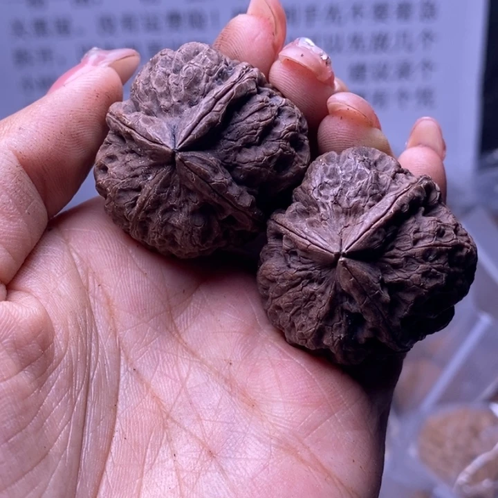 核桃云南野生铁核桃153号35mm