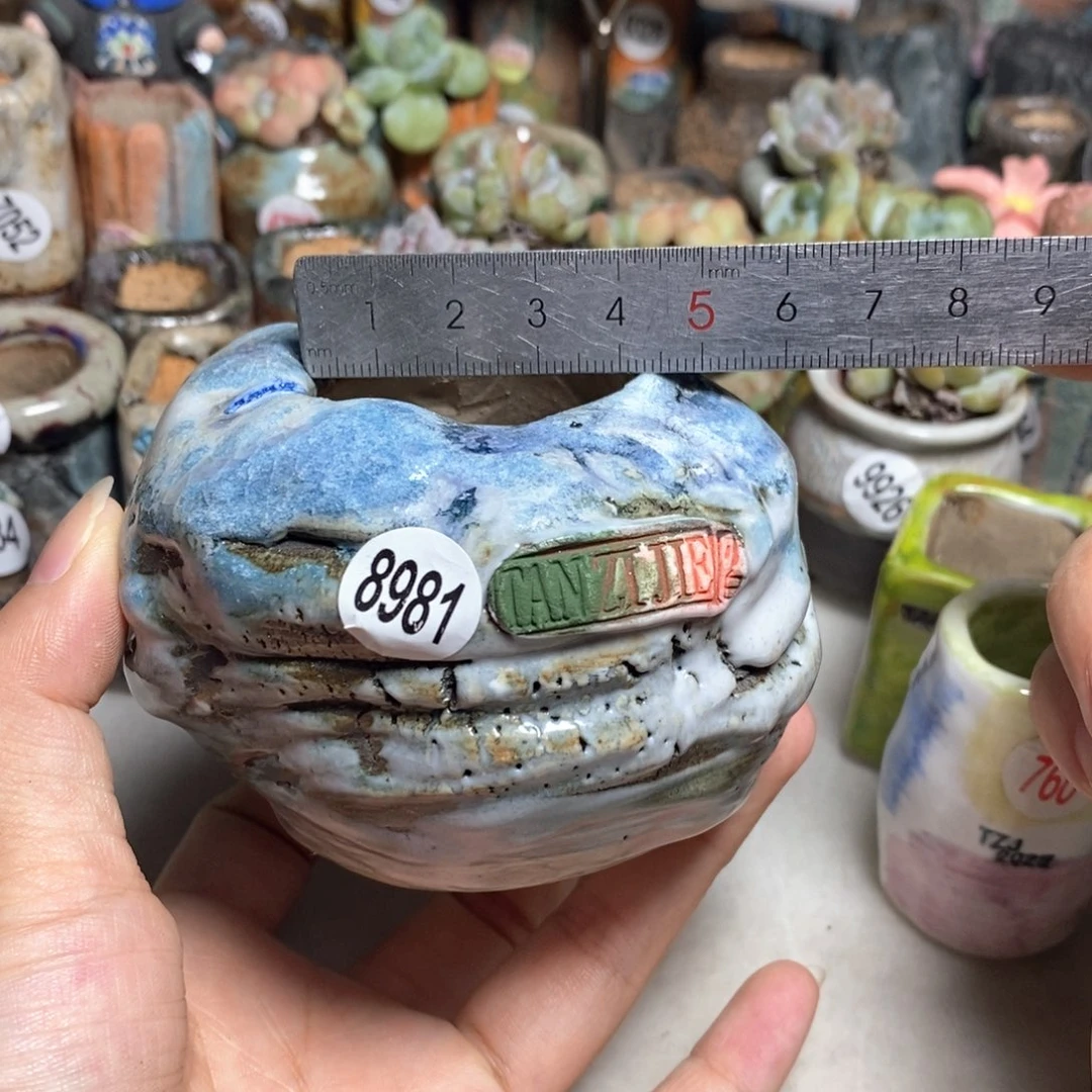 拍3送一个小礼物