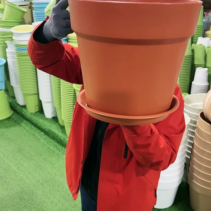 正品红陶口31高28陶红带托3只
