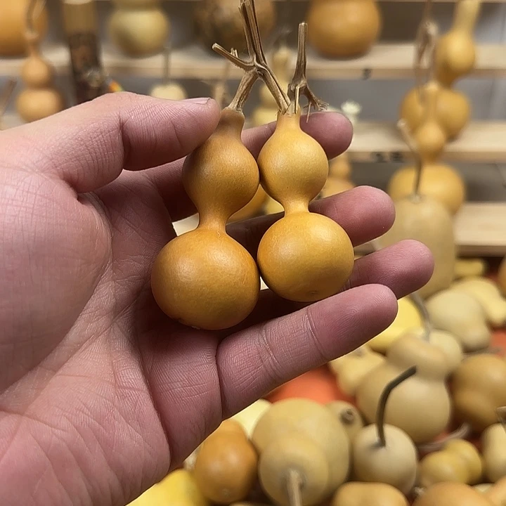 通***程葫芦葫芦葫芦葫芦