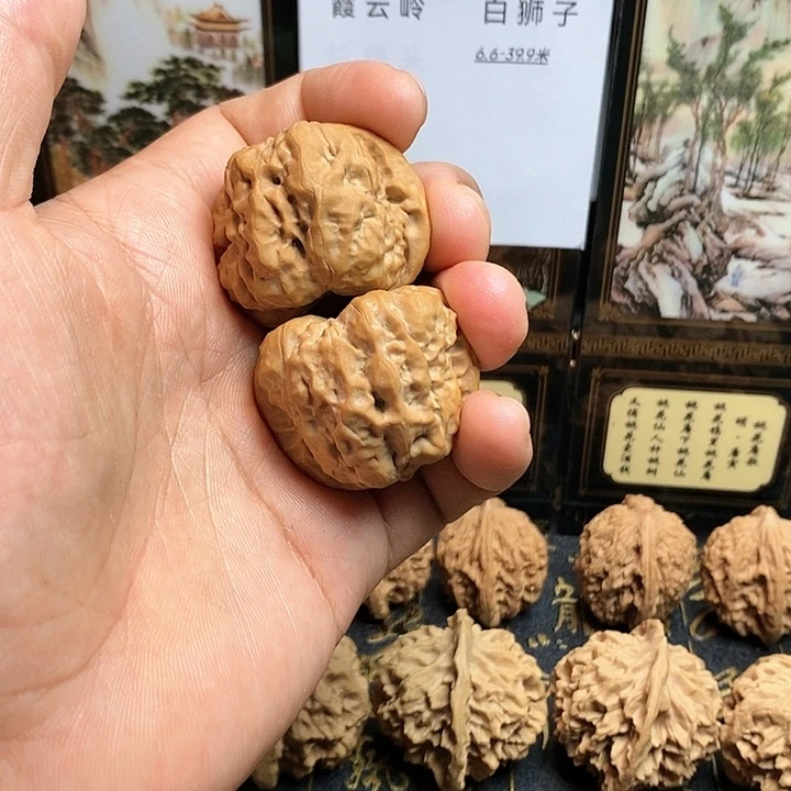 文玩核桃把件悟蛤蟆头