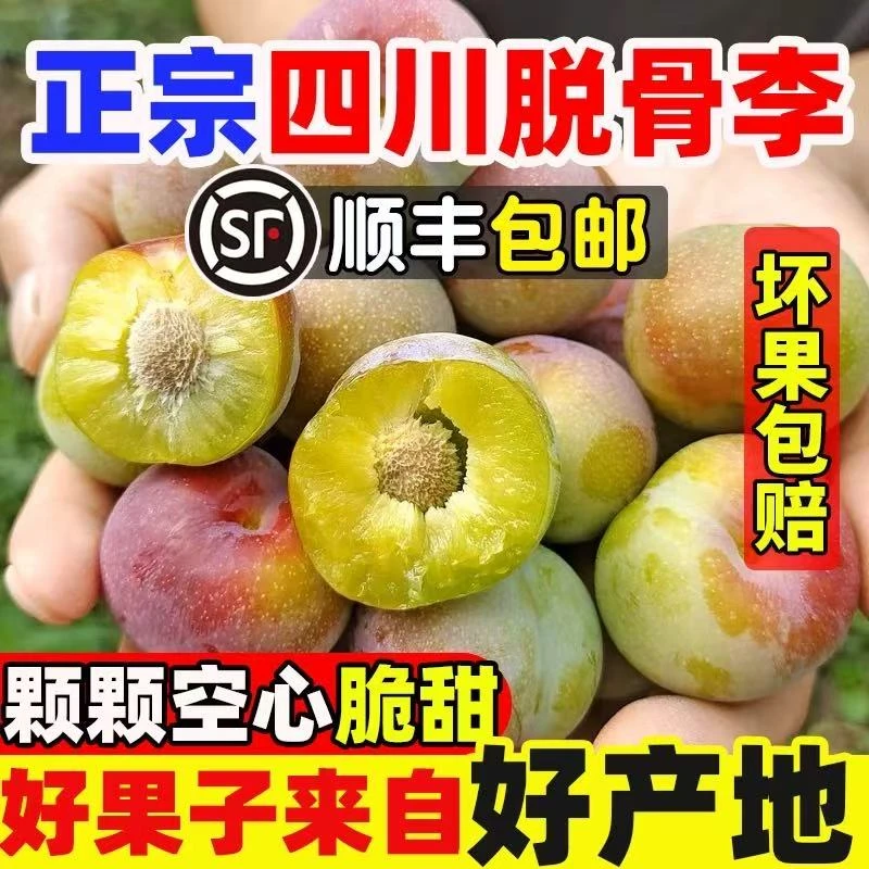 【顺丰冷链包邮】四川正宗半边红茵红李脱骨李新鲜现摘应季水果