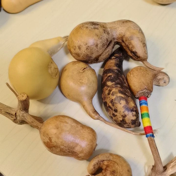 【闪购商品】土*文玩葫芦花皮。。。。