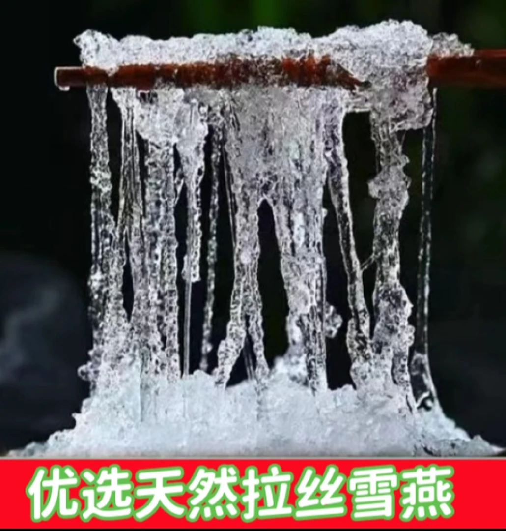 【临时链接】优选拉丝雪燕1500克（三斤）