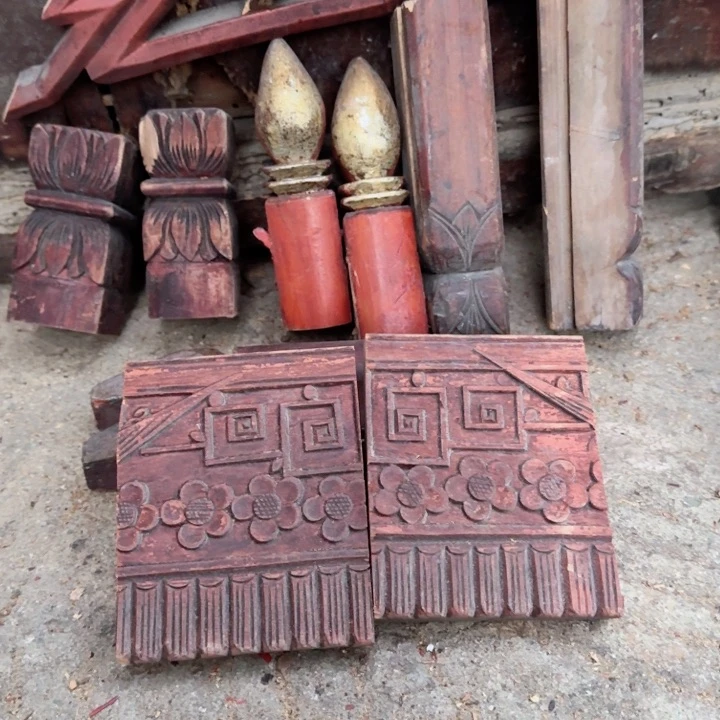 香榧木会**鱼这么样还没