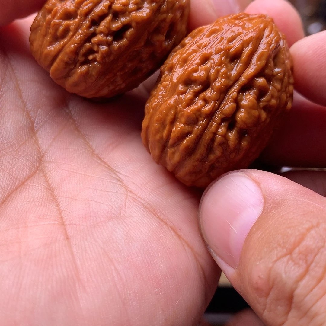 把件文玩核桃东北楸子文玩核桃