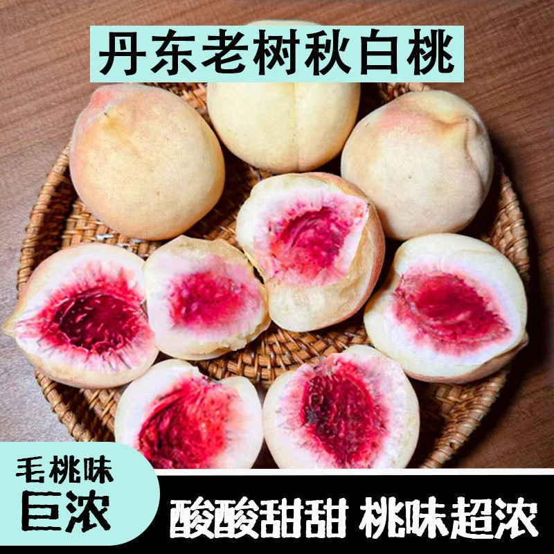 秋白桃丹东河口银白桃离核桃新鲜多汁黑沟宽甸大毛桃桃子旅游特产